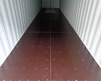 40ft Tunnel Standard Shipping Container Internal