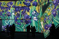 Van Gogh Irises projected onto the side of containers