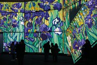 Van Gogh Irises projected onto the side of containers