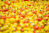 Rubber Ducks